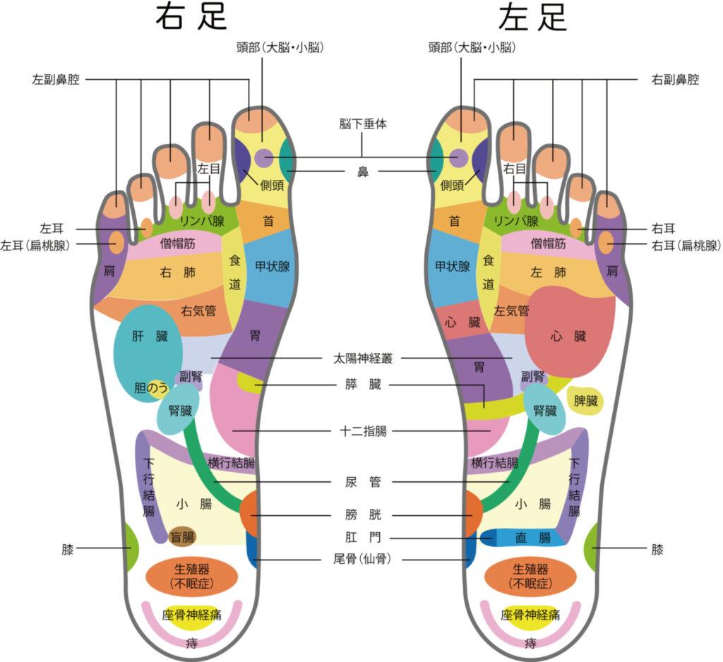 足ツボ刺激で腰痛、肩こり、頭痛改善