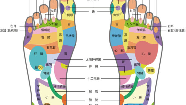 足と手の反射区健康法