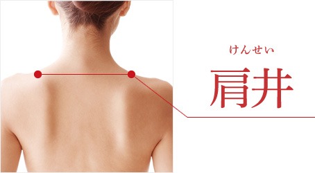 身体のツボの話